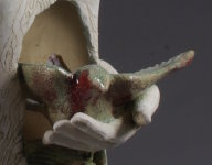Birds 14
