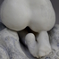 Cloud Escapist (back view)
