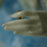 Certain About Uncertainty (detail)
