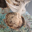 Moody Writer (detail)