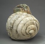 Shell Dweller 4