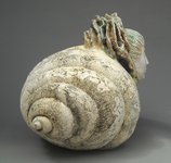 Shell Dweller 5