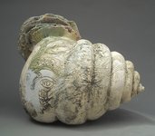 Shell Dweller 7